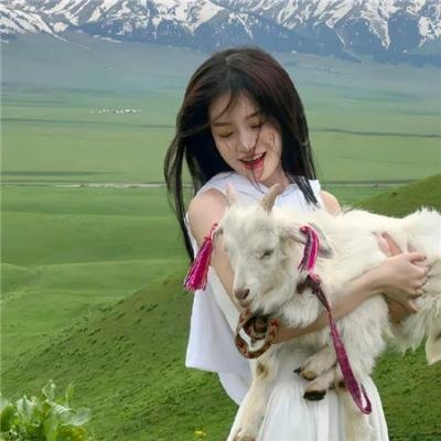 女导与强盗